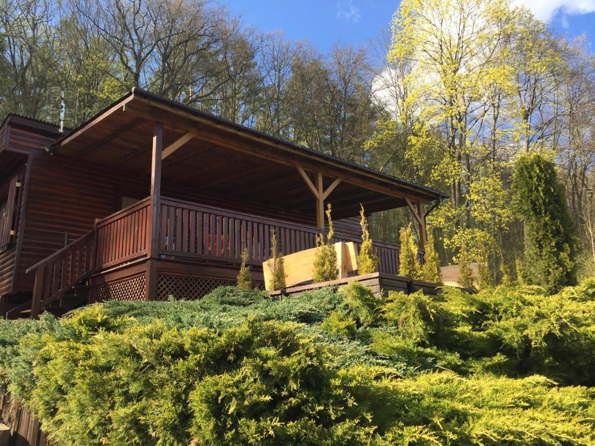 Domek Letniskowy "Domek W Zieleni" Kaszuby Lapino Exteriér fotografie
